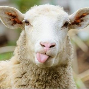 Meet your Posher, Colleen